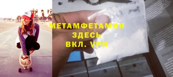 прущие грибы Беломорск