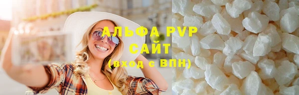 прущие грибы Беломорск