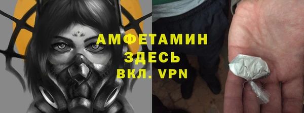 прущие грибы Беломорск