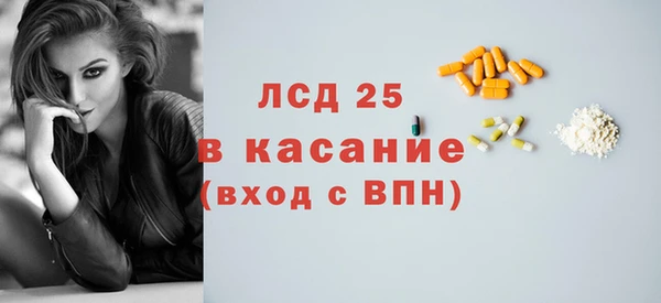 прущие грибы Беломорск