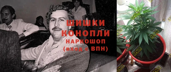 прущие грибы Беломорск