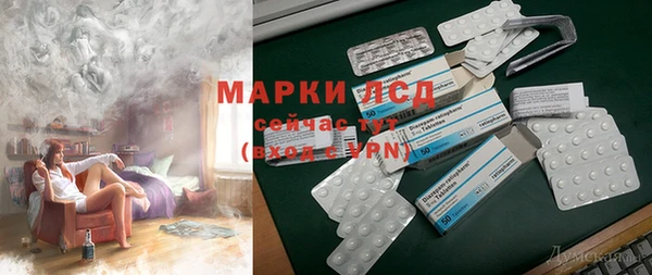 прущие грибы Беломорск